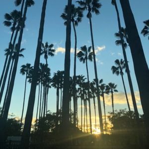 Meet your Posher, Cathy